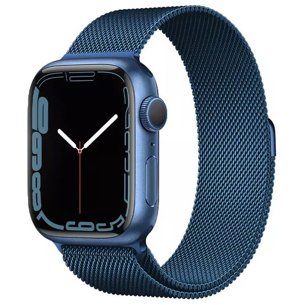 Apple Stainless Band