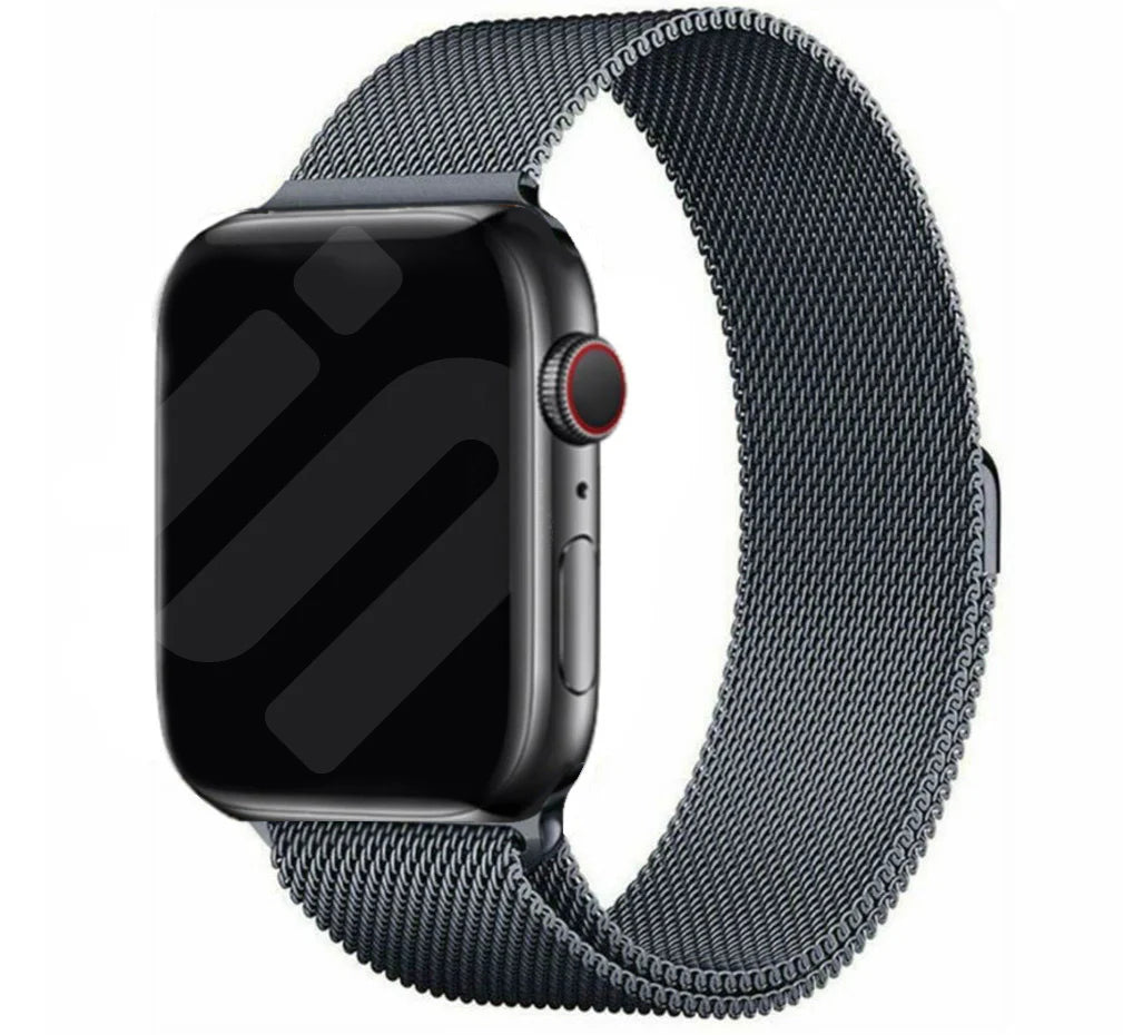 Apple Stainless Band