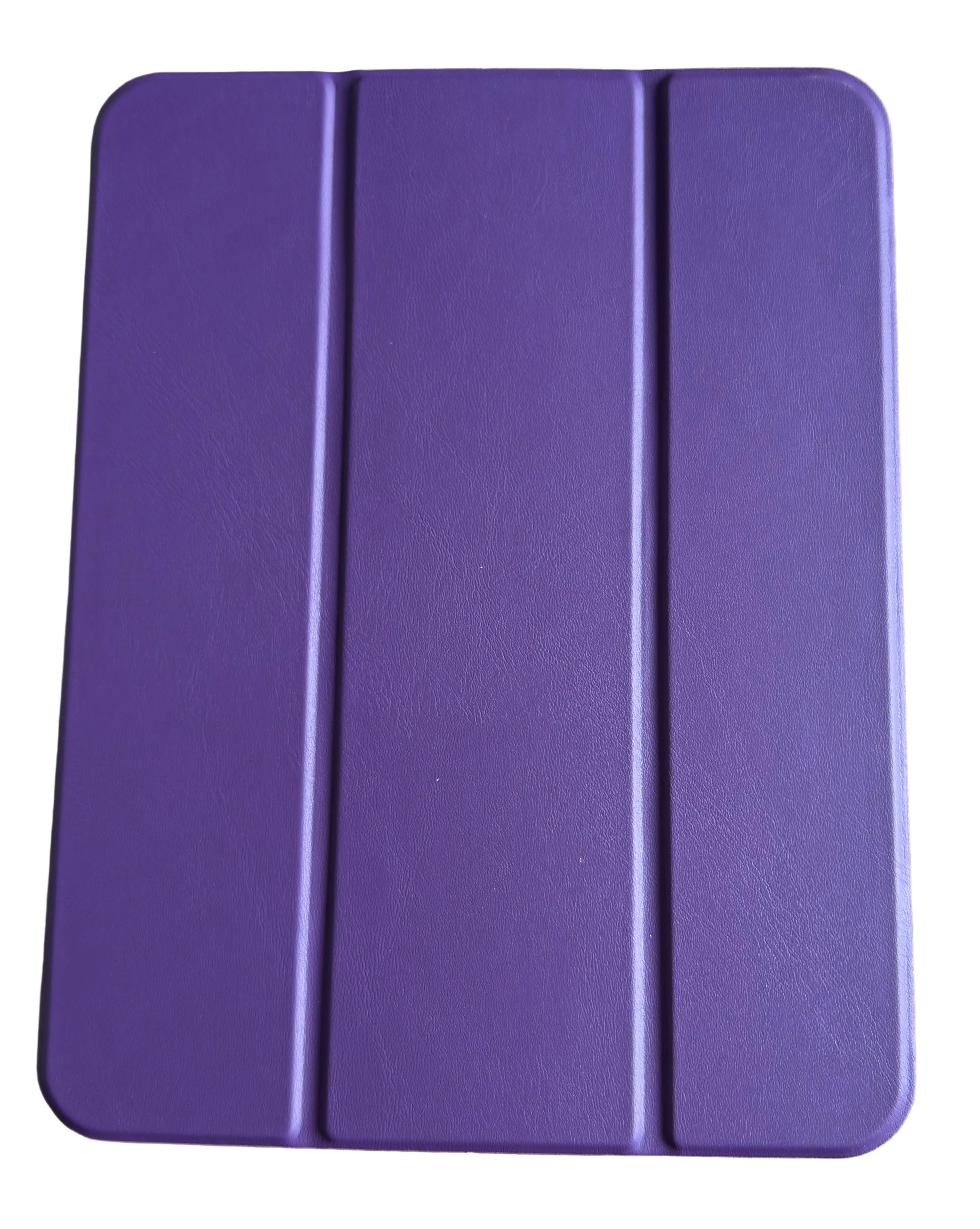 iPad Flip Case with Transparent Back Cover