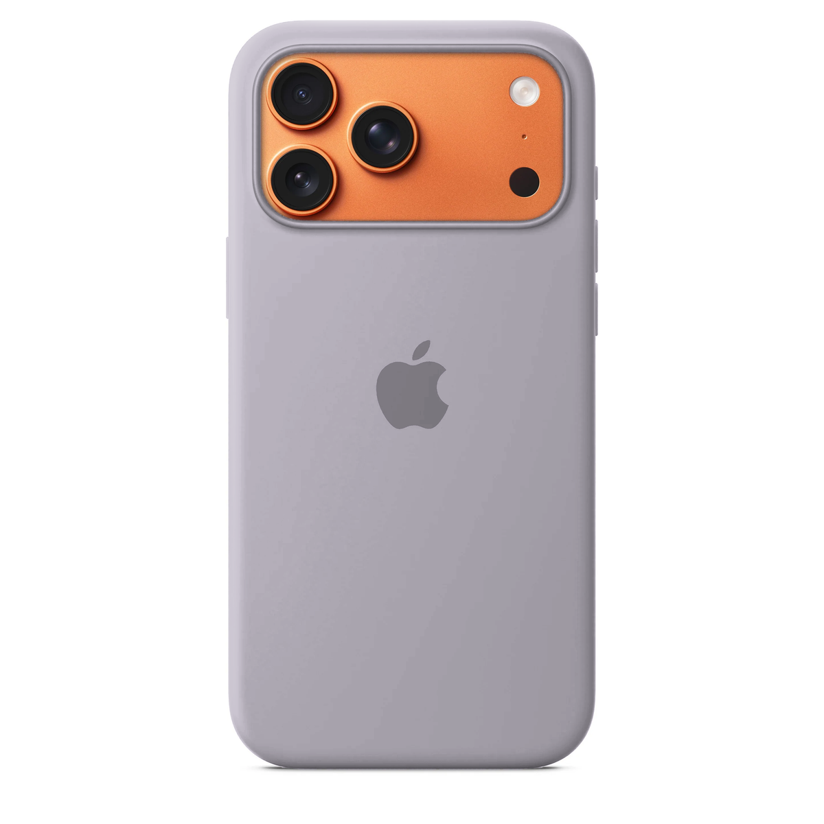 iPhone 16 Silicone Case