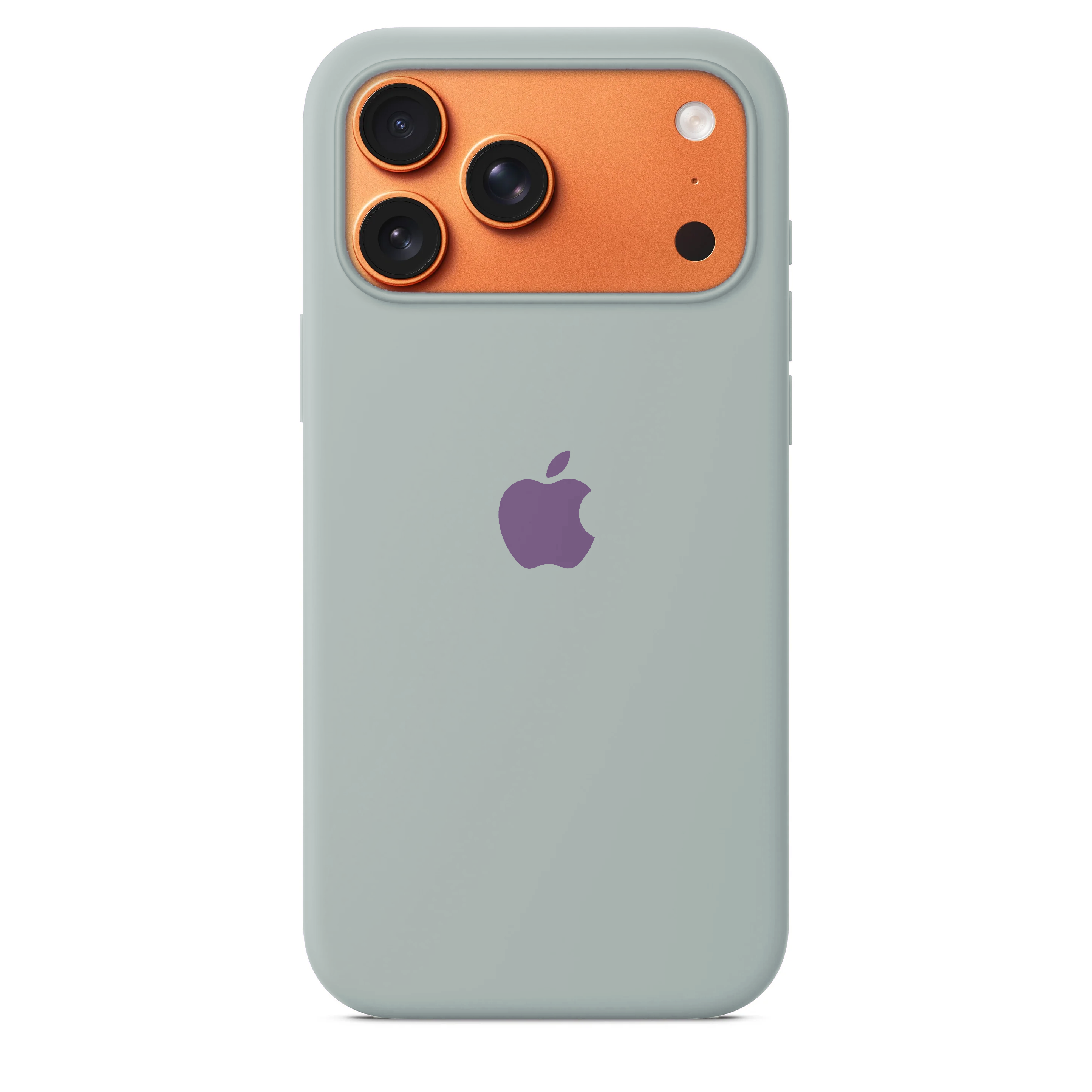 iPhone 17 Pro Max Silicone Case