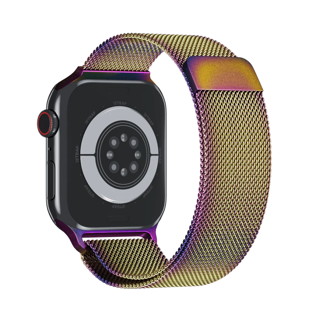 Apple Stainless Band