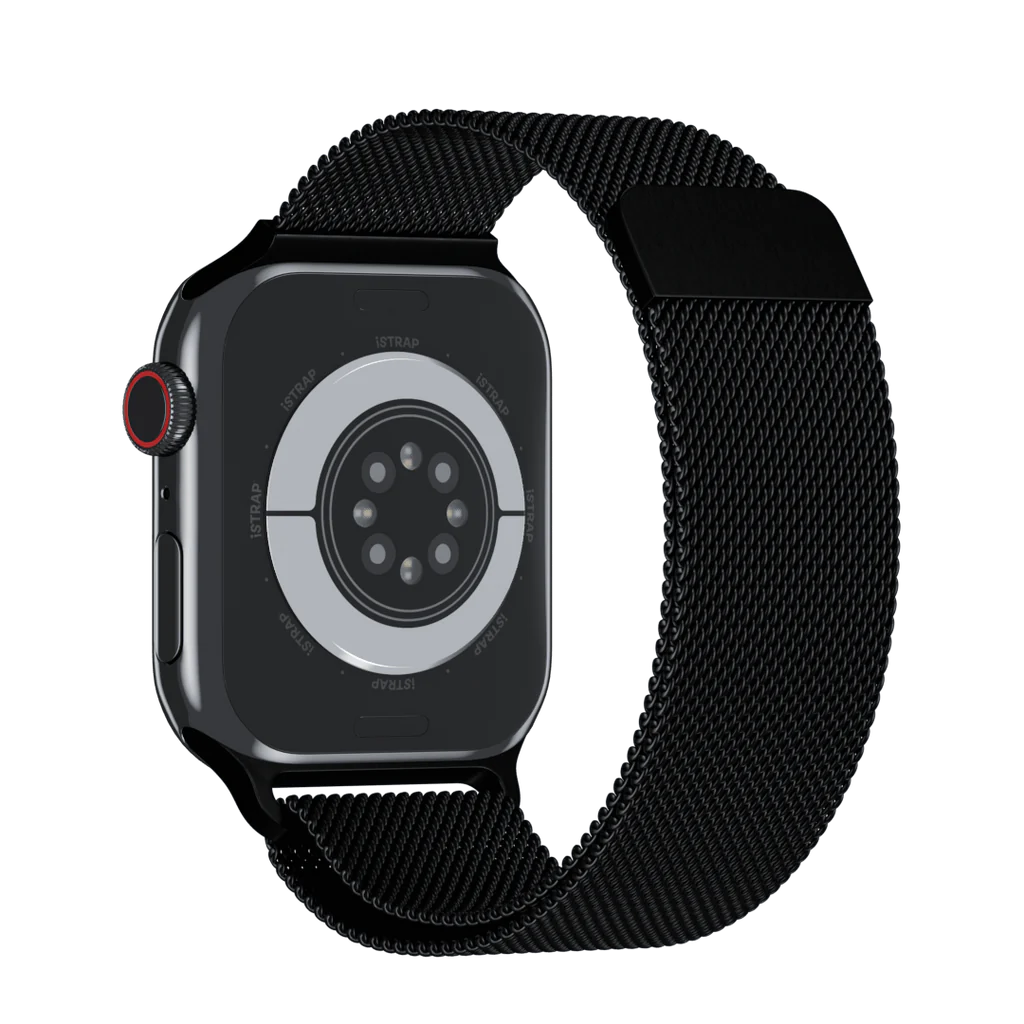 Apple Stainless Band