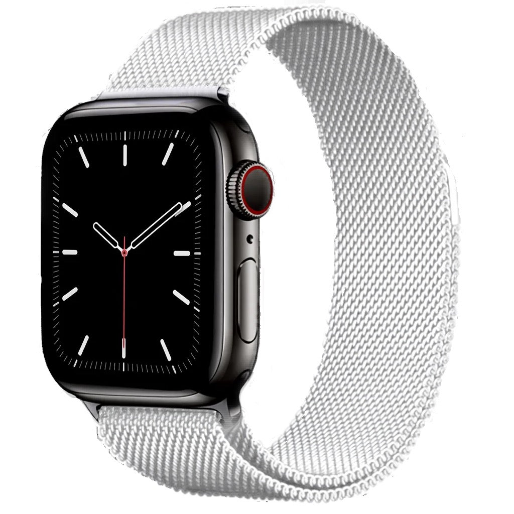 Apple Stainless Band