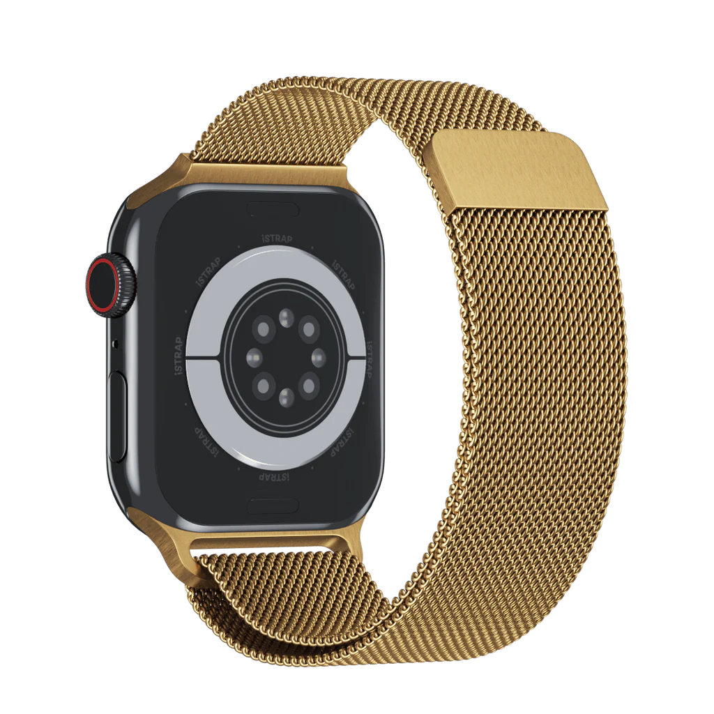 Apple Stainless Band